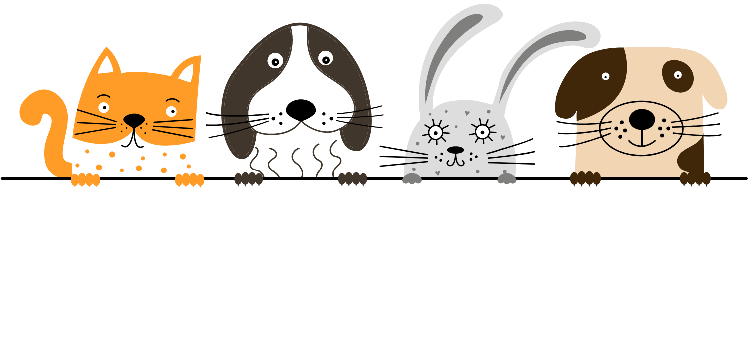 At home kennels boarding sale